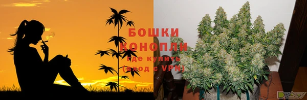 прущая мука Вязники